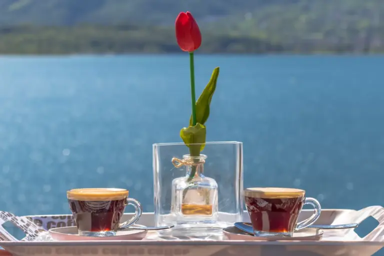 Due caff&egrave; e un tulipano su un vassoio con il Lago di Como sullo sfondo all'Apartment Lana